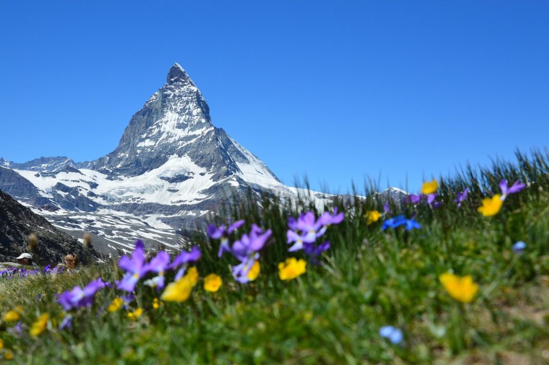 ALPEN-Methode: Tagesabläufe optimiert planen ALPEN-Methode Zeitmanagement - Produktivität im HomeOffice steigern - Tagesablauf richtig planen und organisieren